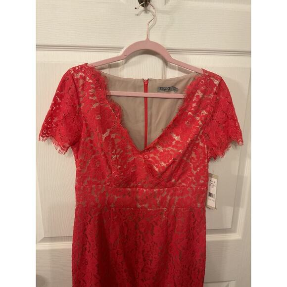 NWT Eliza J Coral Lace Cap Sleeve Surplice Neck Sheath Dress, sz 10 - Picture 4 of 8